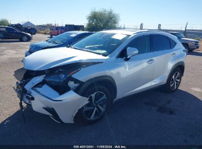 Lot #2989127603 2020 LEXUS NX 300