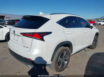 Lot #2989127603 2020 LEXUS NX 300