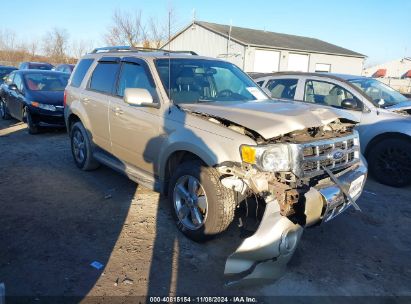 Lot #3036721922 2012 FORD ESCAPE LIMITED