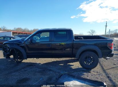 Lot #3058718349 2014 FORD F-150 STX