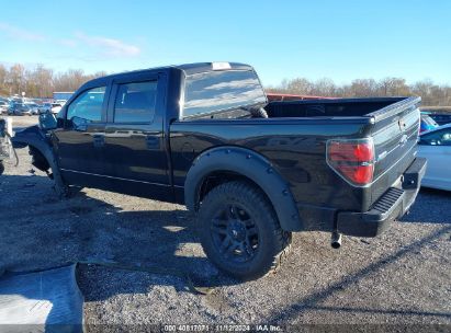 Lot #3058718349 2014 FORD F-150 STX