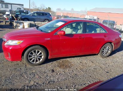 Lot #2995294094 2011 TOYOTA CAMRY HYBRID