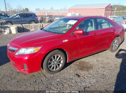 Lot #2995294094 2011 TOYOTA CAMRY HYBRID