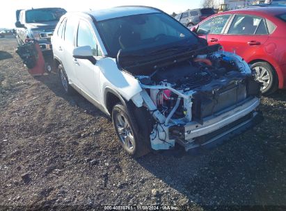 Lot #2990346331 2024 TOYOTA RAV4 HYBRID XLE