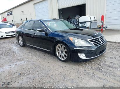 Lot #2992828813 2011 HYUNDAI EQUUS ULTIMATE