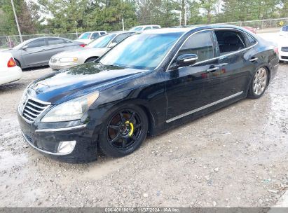 Lot #2992828813 2011 HYUNDAI EQUUS ULTIMATE