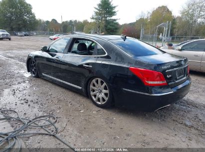 Lot #2992828813 2011 HYUNDAI EQUUS ULTIMATE