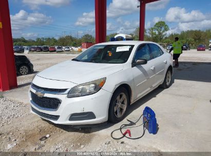 Lot #2995294080 2014 CHEVROLET MALIBU 1LS