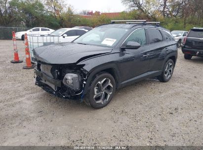 Lot #2995294079 2022 HYUNDAI TUCSON SEL