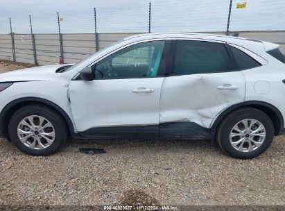 Lot #2990356918 2024 FORD ESCAPE ACTIVE