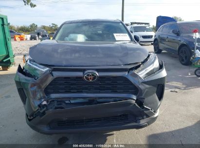 Lot #2995279696 2023 TOYOTA RAV4 LE