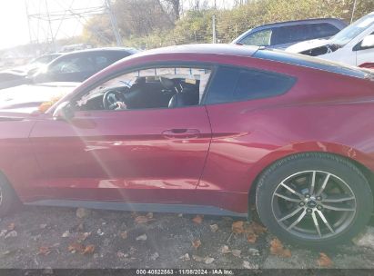 Lot #3035072267 2016 FORD MUSTANG ECOBOOST