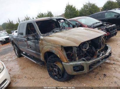 Lot #3042556931 2013 FORD F-250 LARIAT