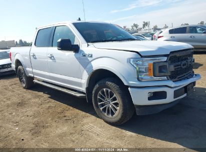 Lot #2992832094 2019 FORD F-150 XLT