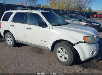 Lot #3046371938 2009 FORD ESCAPE HYBRID LIMITED