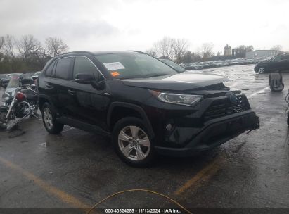 Lot #3056472342 2019 TOYOTA RAV4 HYBRID XLE