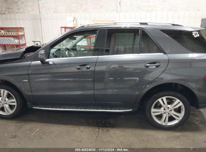 Lot #3037522944 2012 MERCEDES-BENZ ML 350 4MATIC