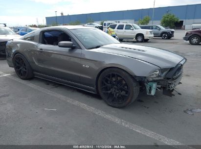 Lot #2992832083 2013 FORD MUSTANG GT