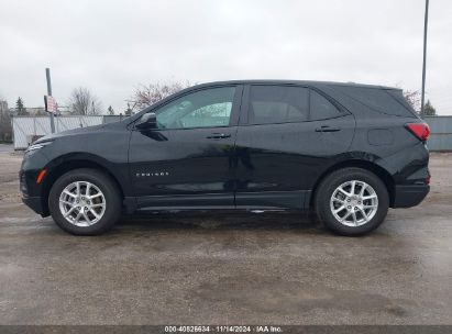 Lot #2995287771 2023 CHEVROLET EQUINOX AWD 1FL