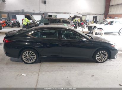 Lot #3005345238 2020 LEXUS ES 300H LUXURY