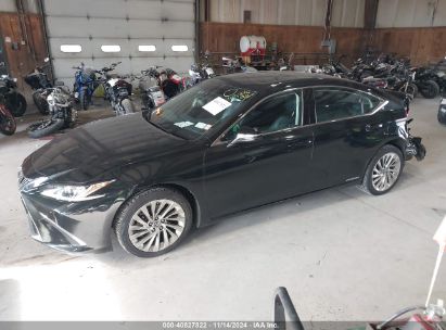 Lot #3005345238 2020 LEXUS ES 300H LUXURY