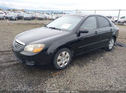 Lot #3051089303 2009 KIA SPECTRA LX