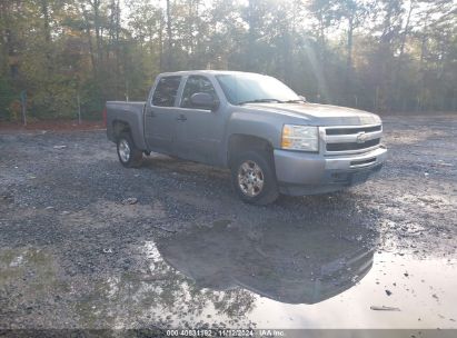 Lot #2992834973 2009 CHEVROLET SILVERADO 1500 LT