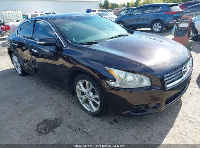 Lot #3035083487 2014 NISSAN MAXIMA 3.5 SV