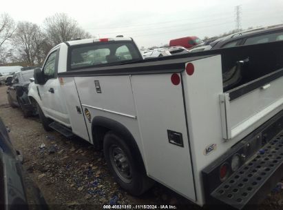 Lot #3034472692 2021 FORD F-250 XL