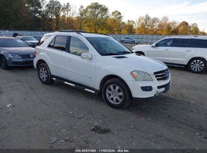 Lot #3004094501 2007 MERCEDES-BENZ ML 350 4MATIC