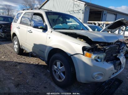 Lot #3042569909 2008 FORD ESCAPE XLT