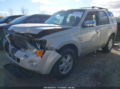 Lot #3042569909 2008 FORD ESCAPE XLT