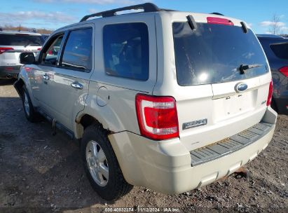 Lot #3042569909 2008 FORD ESCAPE XLT