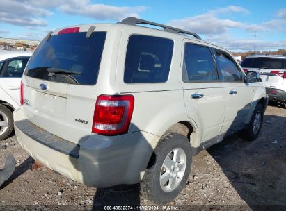 Lot #3042569909 2008 FORD ESCAPE XLT