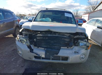 Lot #3042569909 2008 FORD ESCAPE XLT