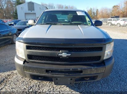 Lot #2992834949 2011 CHEVROLET SILVERADO 1500 WORK TRUCK