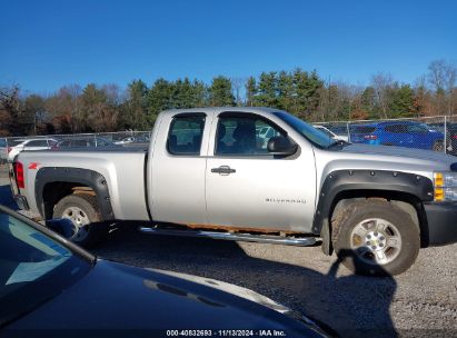 Lot #2992834949 2011 CHEVROLET SILVERADO 1500 WORK TRUCK