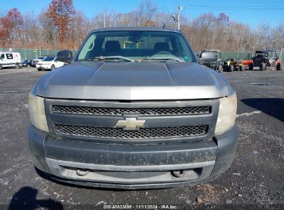 Lot #2995294213 2008 CHEVROLET SILVERADO 1500 WORK TRUCK