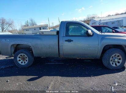 Lot #2995294213 2008 CHEVROLET SILVERADO 1500 WORK TRUCK