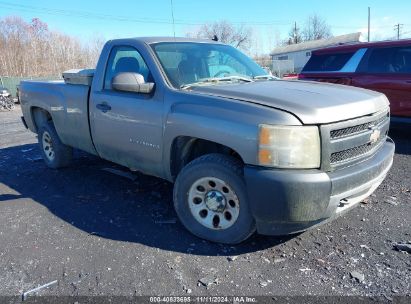 Lot #2995294213 2008 CHEVROLET SILVERADO 1500 WORK TRUCK