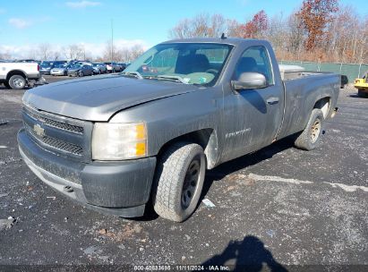 Lot #2995294213 2008 CHEVROLET SILVERADO 1500 WORK TRUCK