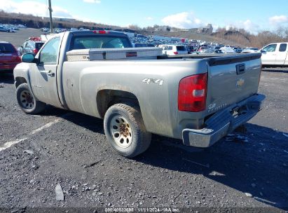 Lot #2995294213 2008 CHEVROLET SILVERADO 1500 WORK TRUCK