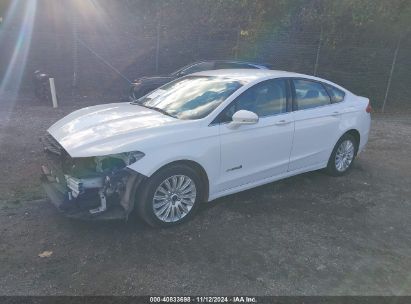 Lot #2992815850 2014 FORD FUSION HYBRID SE