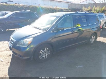 Lot #3035083646 2005 HONDA ODYSSEY EX-L