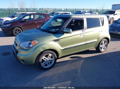 Lot #2995293884 2010 KIA SOUL +