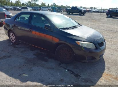 Lot #3035072568 2010 TOYOTA COROLLA LE