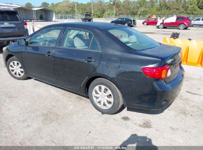 Lot #3035072568 2010 TOYOTA COROLLA LE