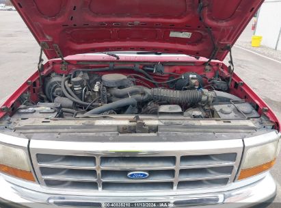 Lot #2990346215 1994 FORD F150