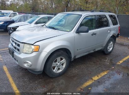 Lot #3056472141 2009 FORD ESCAPE HYBRID LIMITED