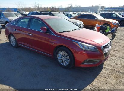 Lot #2995293842 2016 HYUNDAI SONATA HYBRID SE